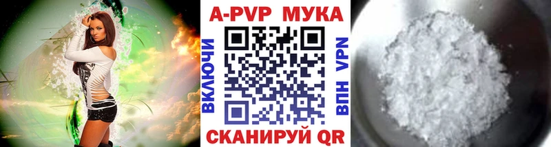 даркнет сайт  MEGA как зайти  Alpha-PVP СК КРИС  Шахунья 